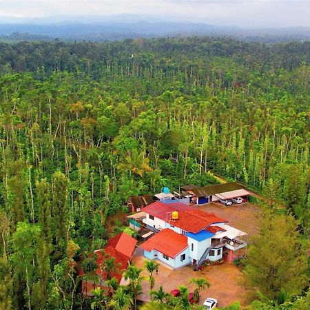 New Organic Home Stay Mudigere Buitenkant foto