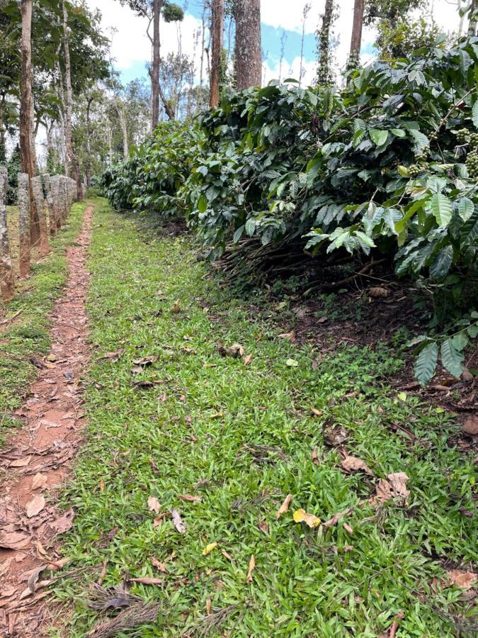 New Organic Home Stay Mudigere Buitenkant foto