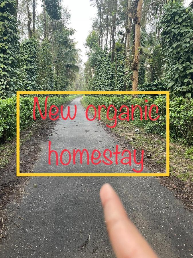 New Organic Home Stay Mudigere Buitenkant foto