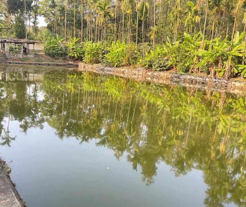 New Organic Home Stay Mudigere Buitenkant foto