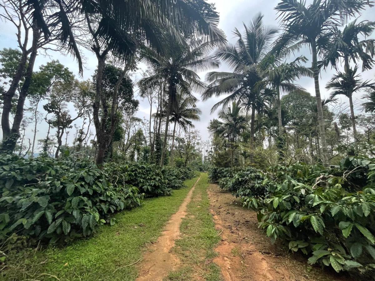 New Organic Home Stay Mudigere Buitenkant foto