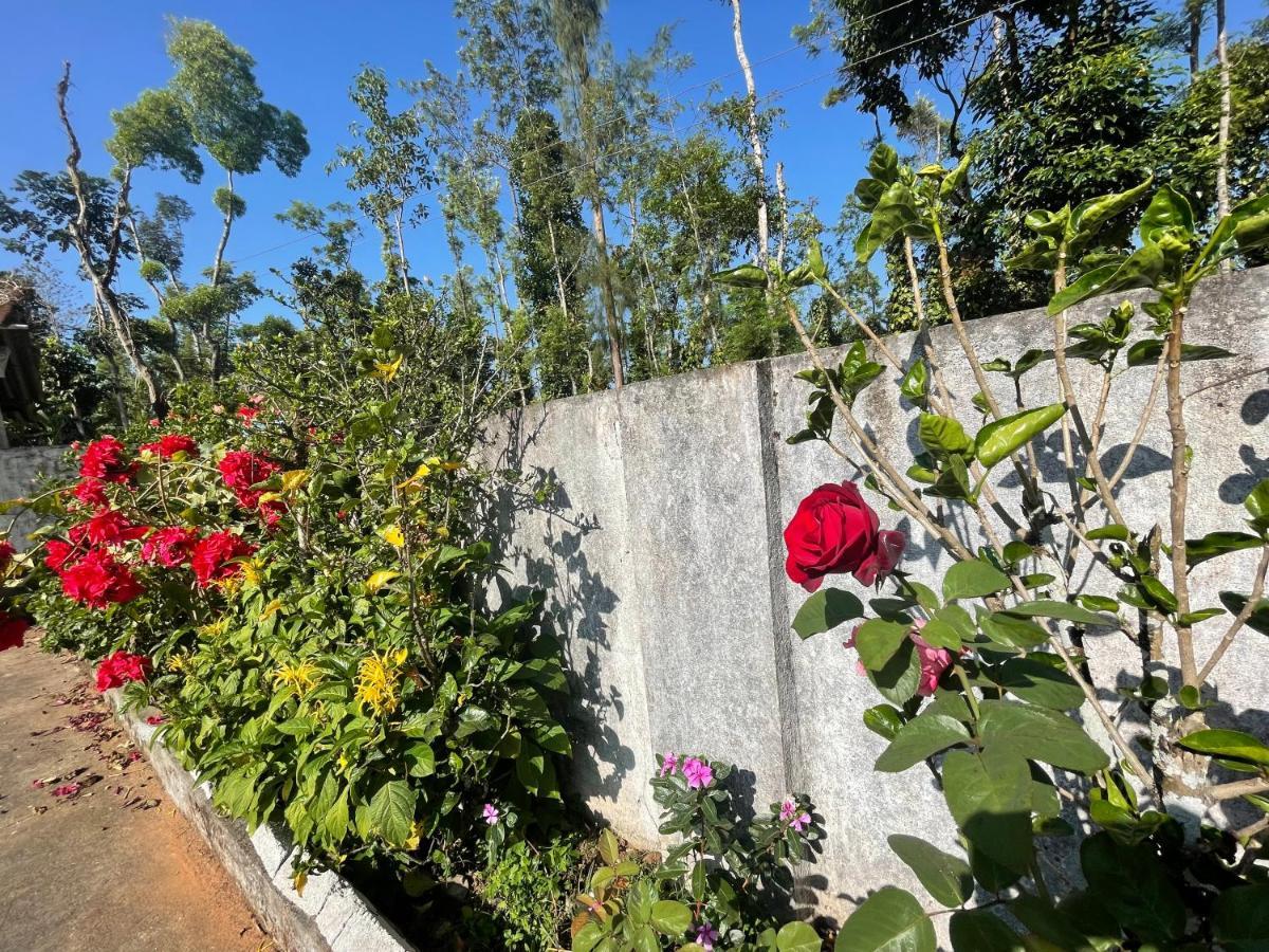 New Organic Home Stay Mudigere Buitenkant foto
