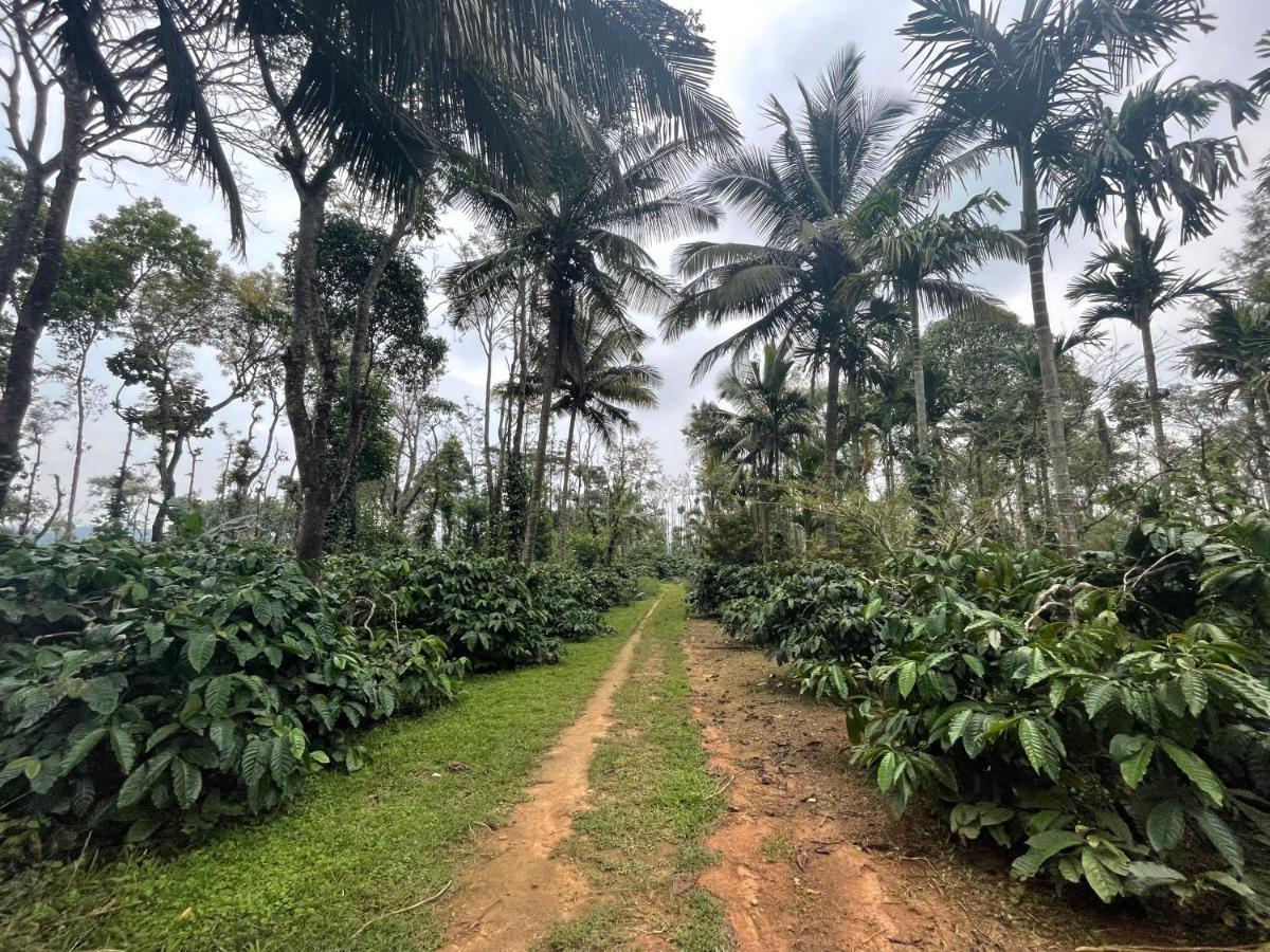 New Organic Home Stay Mudigere Buitenkant foto