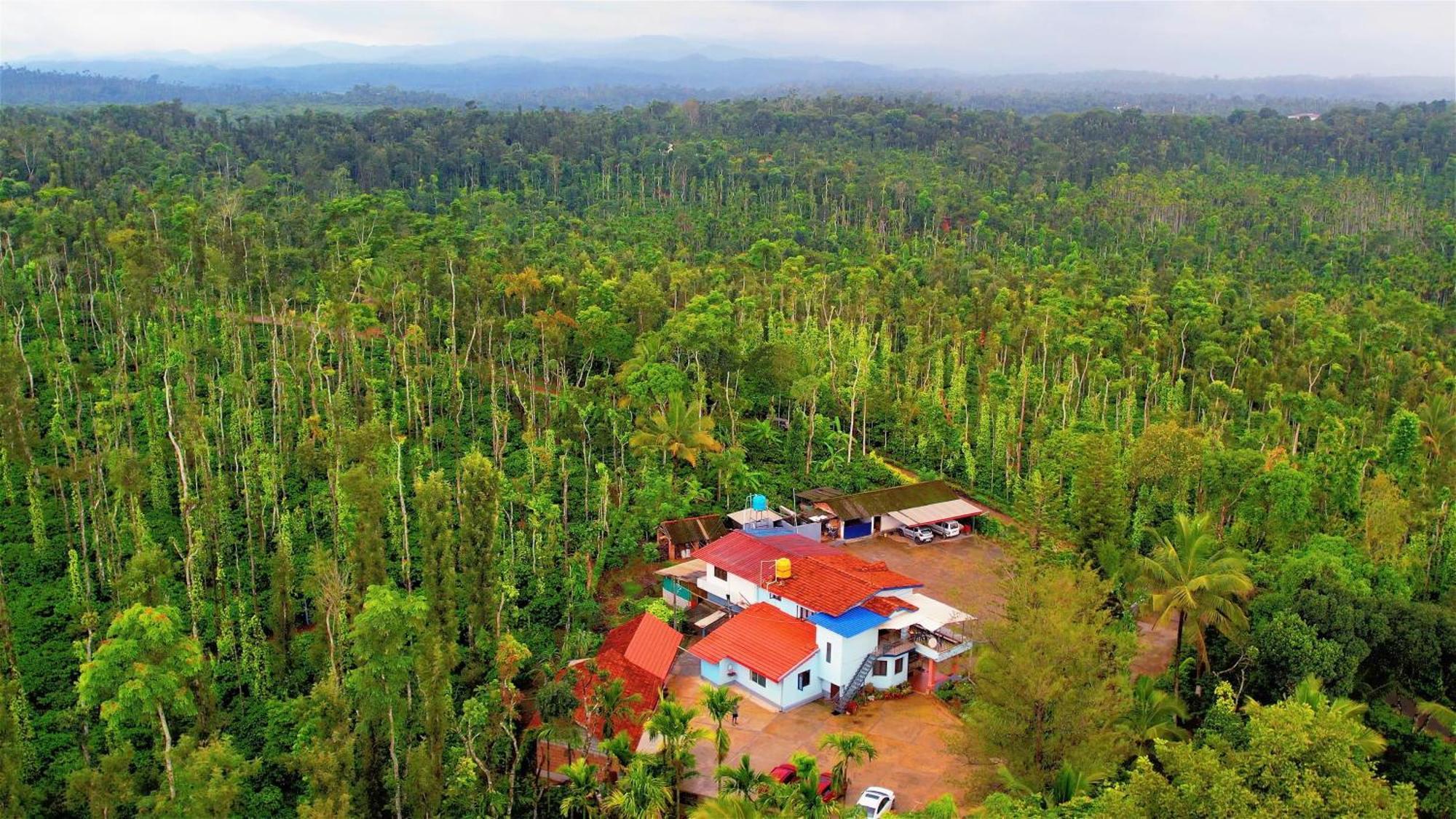 New Organic Home Stay Mudigere Buitenkant foto